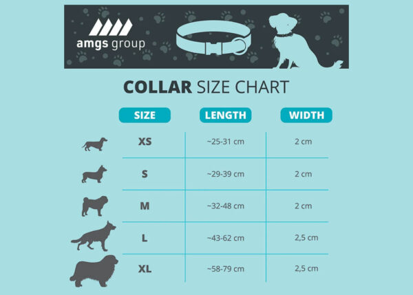 Size chart for custom personalized dog collars showing measurements for XS to XL sizes.