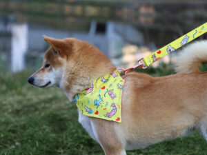 Detailed view of a bright yellow customizable dog bandana with colorful cat patterns, worn by a Shiba Inu during an outdoor walk.